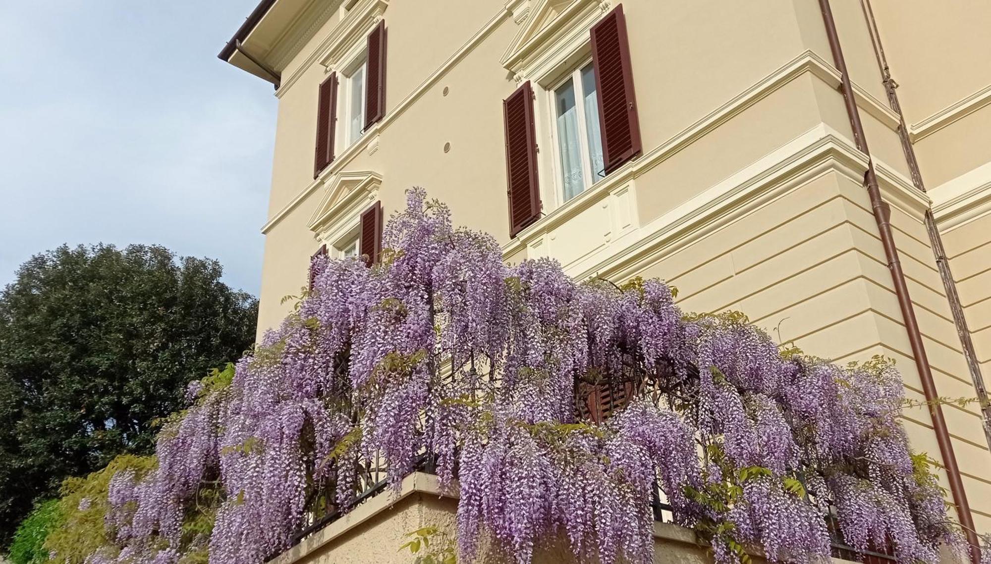 Il Pettirosso Leilighet Monsummano Terme Eksteriør bilde